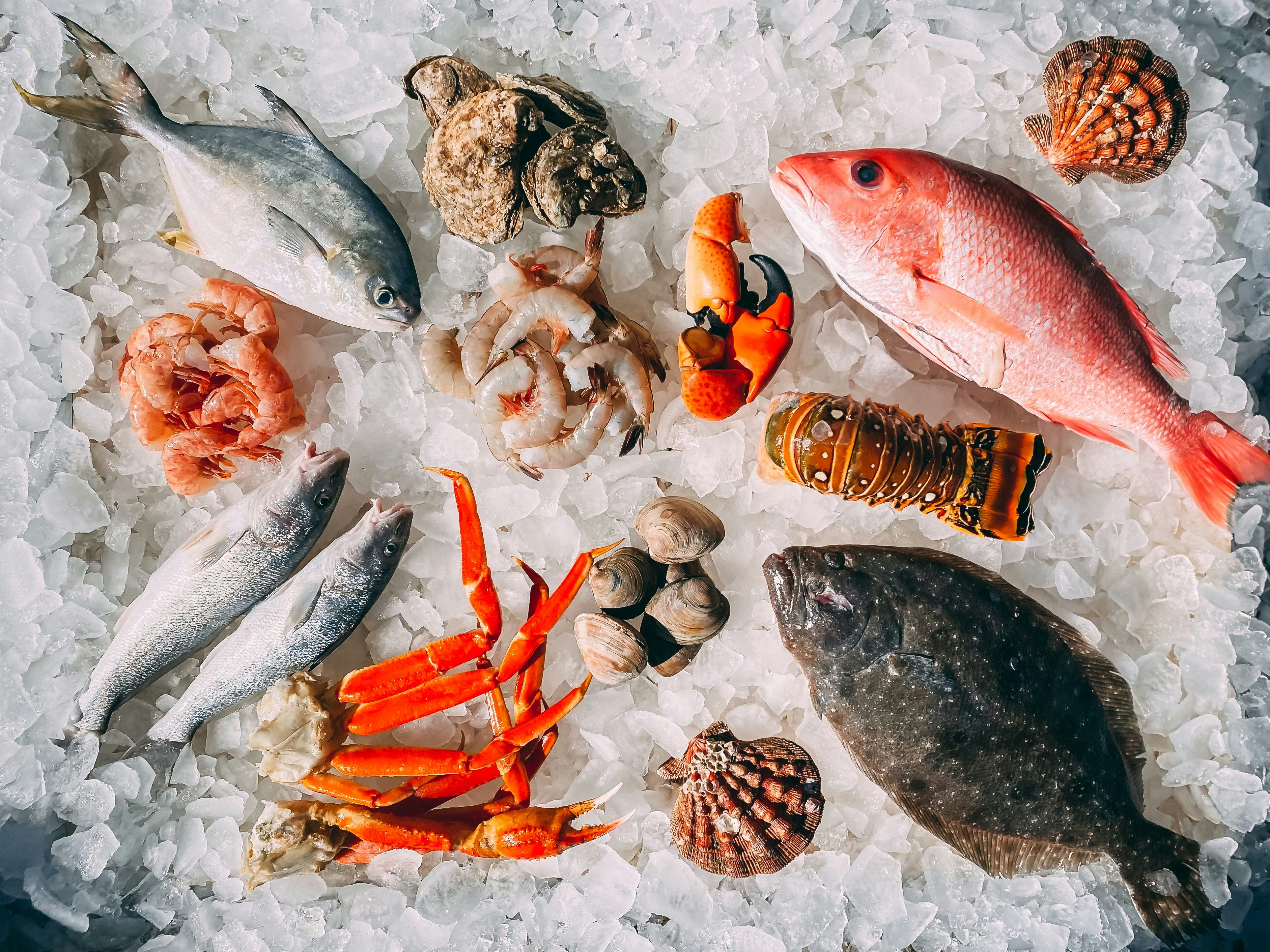 Pesce Fresco